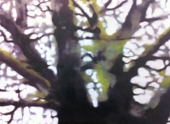 Erable moussu 2 - Huile sur toile - 73 x 100 cm - Février 2013
